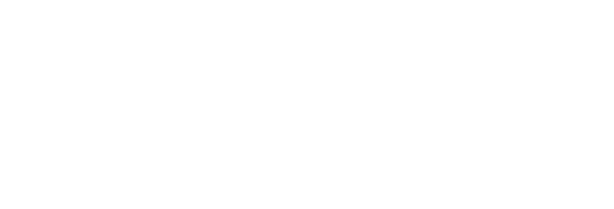 Logo_white